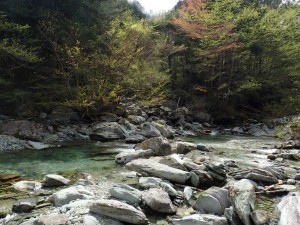 23番・杉林上流，24番・かかし山 下流のポイント_0423'2015