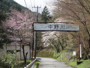 中野川毛ばり専用区入り口_0408'2015