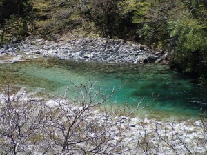 出合橋下流の桑瀬川プール・昨季は結構なライズがあったんですけどねーー_0422'2015