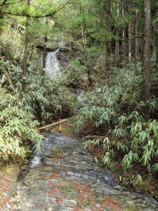 雨の翌日はアチコチの小沢が滝状態に