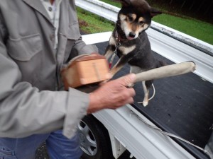 今日の釣果は「イダ」一尾。集落の古老と愛犬ココ・桑瀬川出合橋にて_0420'2015