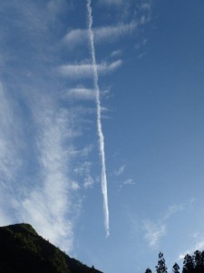 で，本日はこのようなのが・・縦長は飛行機雲でした_0519