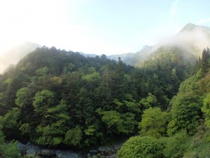 快晴・朝靄・根須木沢・中野川川_0510'2015