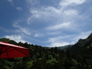 根須木のトリコロール；青空・白雲・赤パラソル_0519