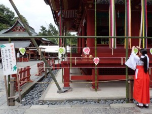 数年ぶりの「鎌倉八幡宮」へ