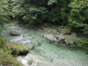 22番・へび橋，底石が見えて・・そろそろOKかな？