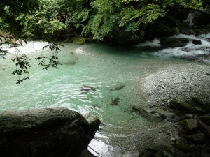 21番・ラストチャンスのプールが最近の出水の流砂利で上下プールに分かれつつあります_0714