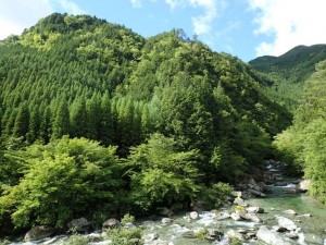 昨日朝の20番・西山広場 上流。昼までは絶好天だったんですが・・