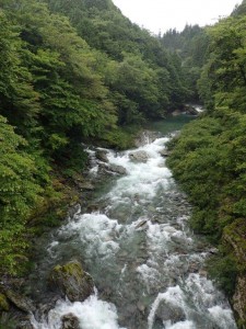 根須木沢合流点・根須木橋(赤橋)より_0723