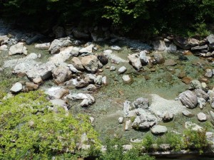 二号(新)堰堤下の画像でして・・見えにくい大物，見つけちゃいました。さて，どこでしょう？？_0731