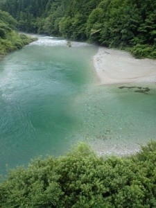 最下流・出合橋合流点，中野川川の方が透明度↑_0723