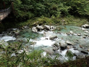 11番・集会所雨の吊り橋近辺_0828