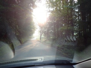 早朝の中野川町道