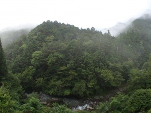 曇り空のテラス下，朝_0821