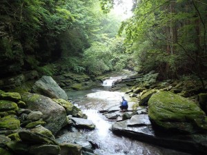 26番・大荒れ 作業道と川の合流点プールにて