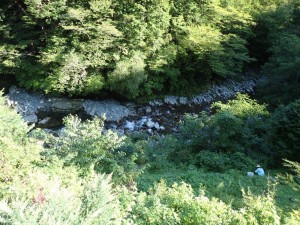 強い日差しの夕刻，日陰では植物担当がヨモギ採集を