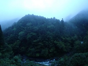 霧に霞む夕刻テラス下_0819