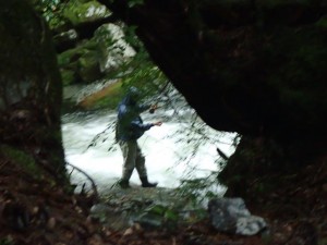 チョイト手振れですが．．雨降り・増水の雰囲気があるでしょう？