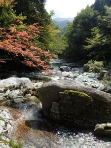 26番・27番 合流点下流，色づき始めた葉っぱも_0927