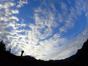 朝方は青空も見えてましたが．．雲多し_0930