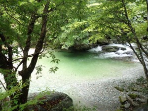 21番・ラストチャンスのプール，沢からの濁り水で濃い着色_0910