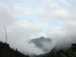 25番・二本杉の夕刻遠景，青空が見える_0906