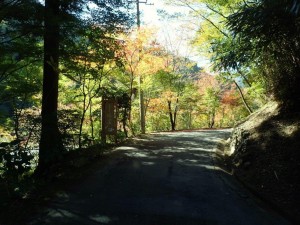 手打ち蕎麦「時屋」の紅葉_1020