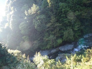 快晴・朝陽に霞むテラス下_1006