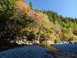 本日の紅葉シーン・14番にて_1026