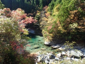 本日の紅葉・お大師様プール_1025