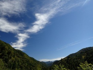 25番・二本杉，遠景_1003