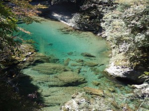 2番上・お大師様プール。魚はようけおるんですが．．何せアプローチが！！_1006