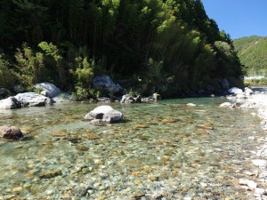 上八川川と小川川の合流点チョイ下流部_1007