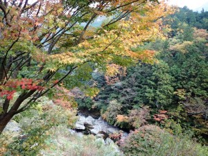 本日の紅葉・コテージから_1030