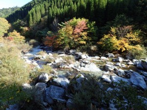 本日の20番・上流_1020