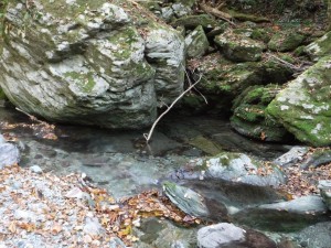 このポイントの左側岩下から出てきた良型以上岩魚が・・フックOFF．．残念 photo by 入渓者Ｎさん from 広島_1022