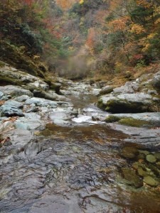 と，，釣れた場所。上のプールです