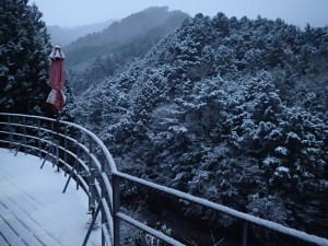 朝，，テラス・対岸の木々に積雪(！！) _AM0630・1127