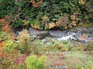 本日のテラス下・朝，水位が平水以上になってました_1102