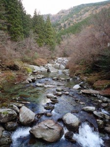 11番・集会所前の吊り橋 上流部_1128