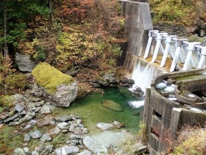 雨上がりの二号(新)堰堤・渇水続きだったので魚君達はチョイ落着きが無いような_1102