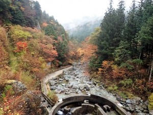 本日の紅葉・二号(新)堰堤下部_1107