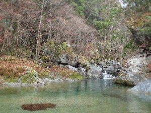 17番・芦澤プール。左奥の大岩が問題の・・です。