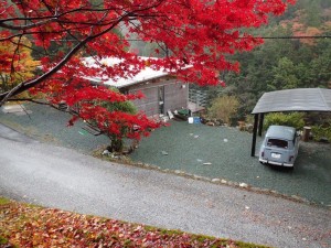 紅葉・中野川倶楽部