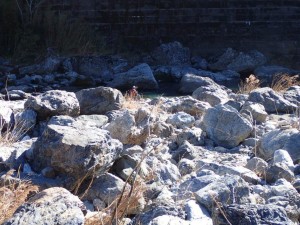 ライズ待ちの釣り人，仁淀にて