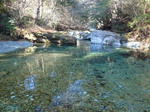 今シーズン最終日の「調査」は24番・かかし山から_1130