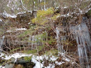 26番・大荒れ入口の氷柱(ﾂﾗﾗ) _0122