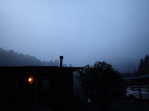 今朝は濃霧でスタート_0228