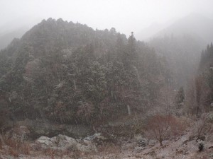 昨日の降雪テラス下_PM5・0229'2016