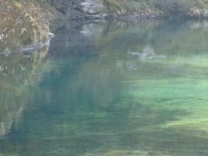 左端チョイ上にライズリング，中流部にて_0325